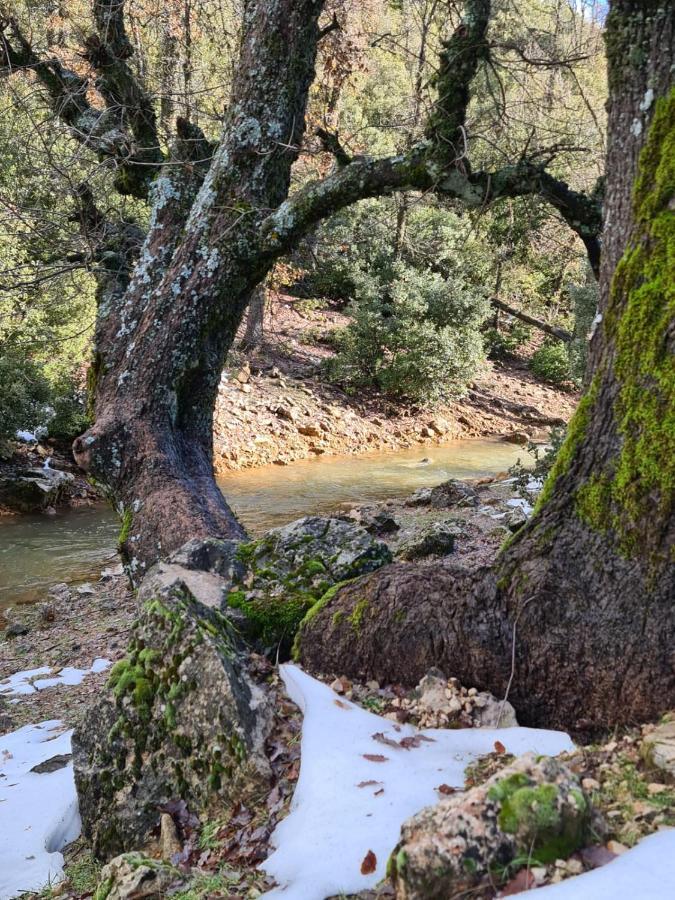 La Pommeraie D'Ifrane Ифран Экстерьер фото