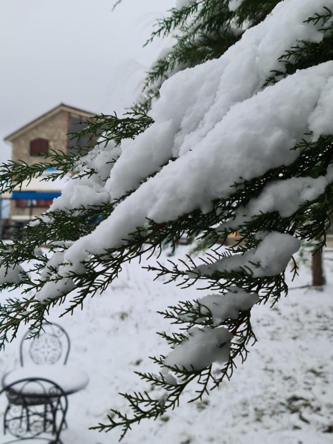 La Pommeraie D'Ifrane Ифран Экстерьер фото