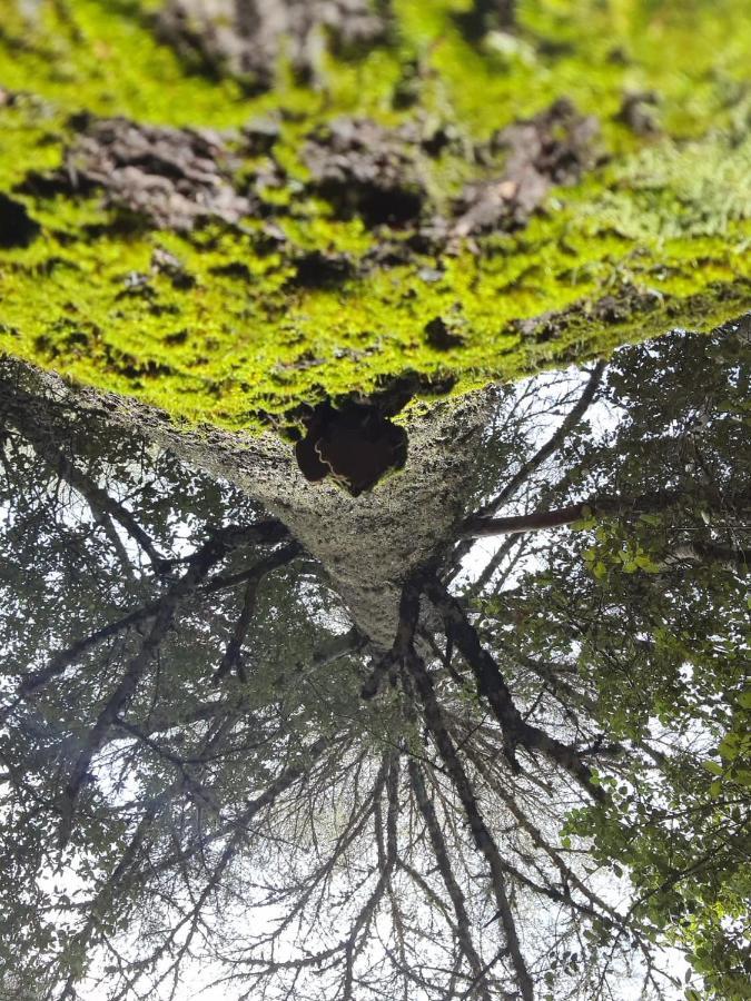 La Pommeraie D'Ifrane Ифран Экстерьер фото