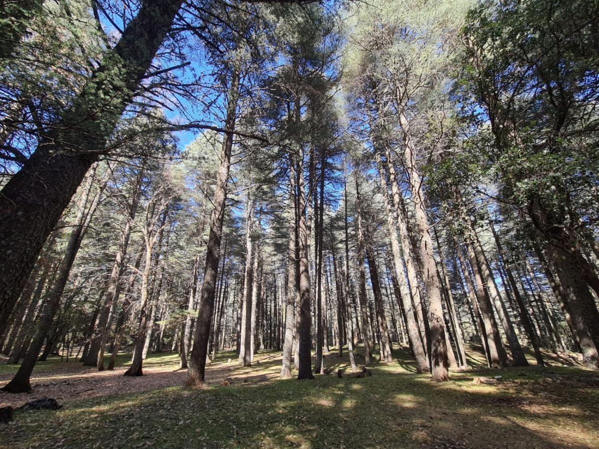 La Pommeraie D'Ifrane Ифран Экстерьер фото