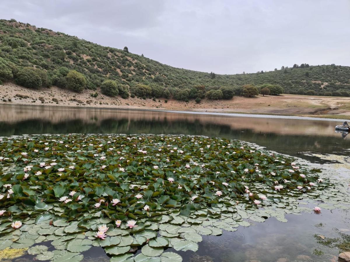La Pommeraie D'Ifrane Ифран Экстерьер фото