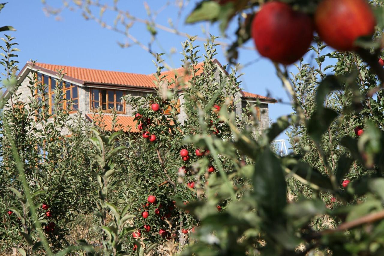 La Pommeraie D'Ifrane Ифран Экстерьер фото